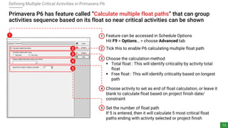 Defining, Assessing and Managing Critical - Near Critical Activities ...