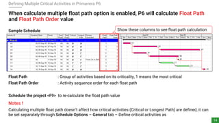 Defining, Assessing and Managing Critical - Near Critical Activities ...