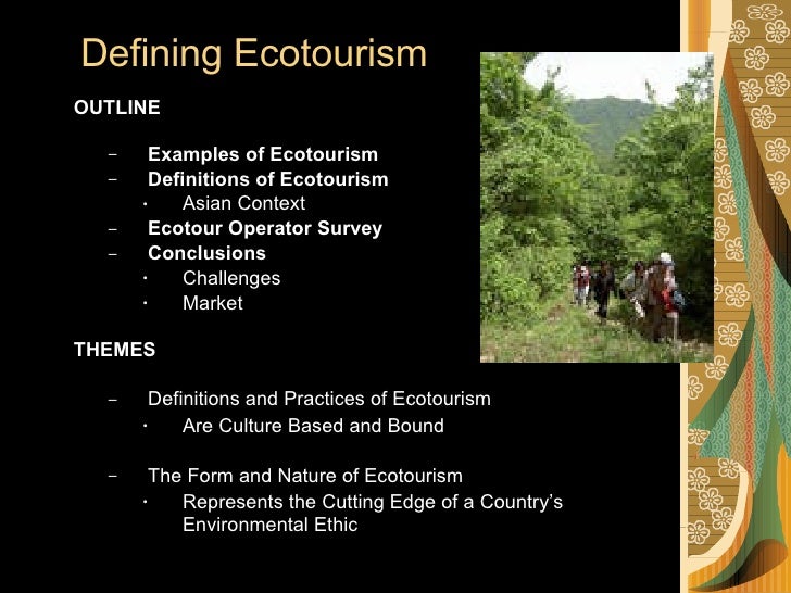 Defining Ecotourism by Alan A Lew