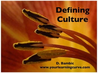 Defining Culture ,[object Object],[object Object]
