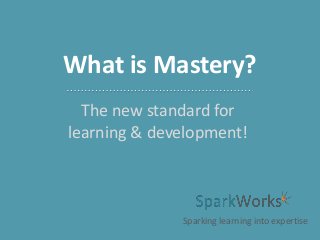 What is Mastery?
The new standard for
learning & development!

Sparking learning into expertise

 