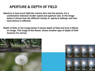 APERTURE & DEPTH OF FIELD
Aperture is how much light the camera let’s into the picture, it’s a
combination between shutter speed and aperture size. In the image
below it shows how the different variety of aperture settings and how
each picture is effected.
Depth of field. In the image below it shows depth of field and how it effects
an image. The image of the flower, shows another type of depth of field
however it’s narrow.
 