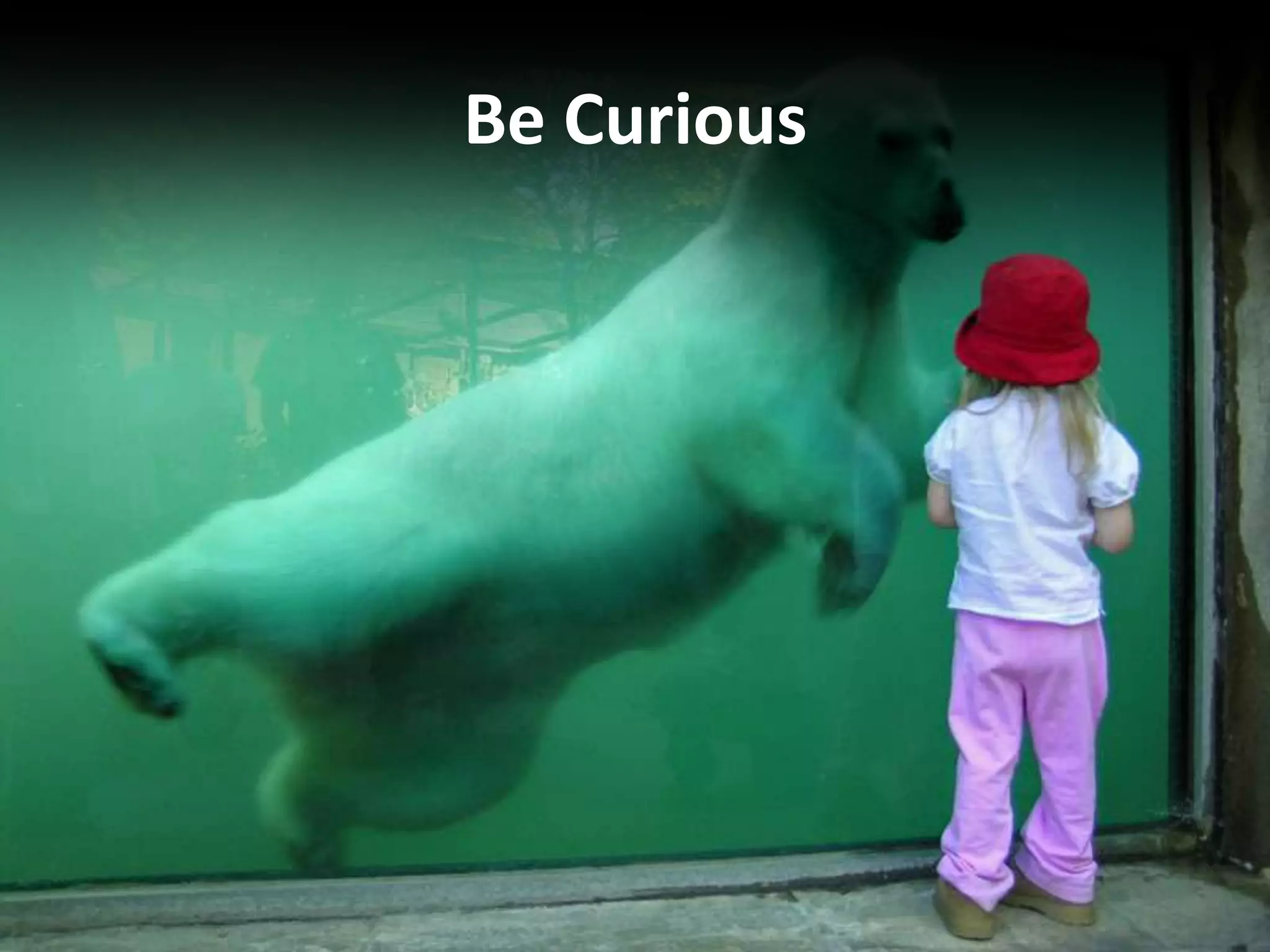 Be Curious