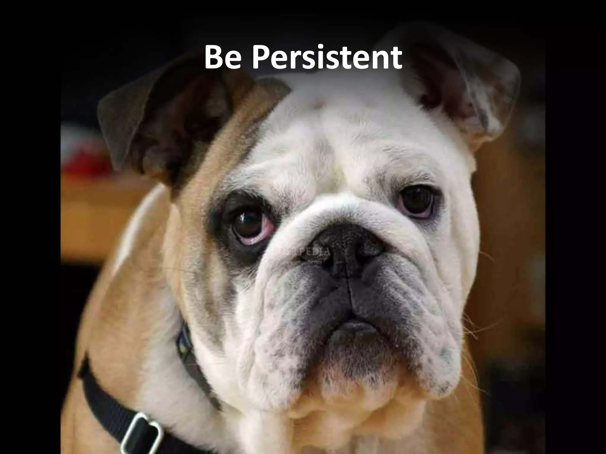 Be Persistent