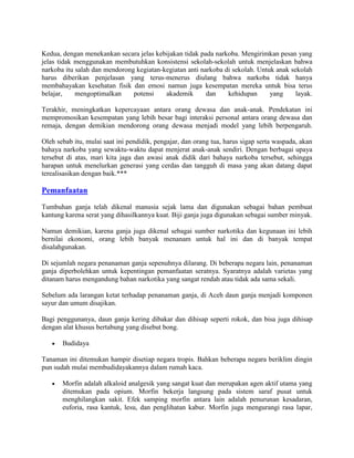 Kedua, dengan menekankan secara jelas kebijakan tidak pada narkoba. Mengirimkan pesan yang
jelas tidak menggunakan membutuhkan konsistensi sekolah-sekolah untuk menjelaskan bahwa
narkoba itu salah dan mendorong kegiatan-kegiatan anti narkoba di sekolah. Untuk anak sekolah
harus diberikan penjelasan yang terus-menerus diulang bahwa narkoba tidak hanya
membahayakan kesehatan fisik dan emosi namun juga kesempatan mereka untuk bisa terus
belajar,    mengoptimalkan     potensi    akademik       dan    kehidupan      yang     layak.

Terakhir, meningkatkan kepercayaan antara orang dewasa dan anak-anak. Pendekatan ini
mempromosikan kesempatan yang lebih besar bagi interaksi personal antara orang dewasa dan
remaja, dengan demikian mendorong orang dewasa menjadi model yang lebih berpengaruh.

Oleh sebab itu, mulai saat ini pendidik, pengajar, dan orang tua, harus sigap serta waspada, akan
bahaya narkoba yang sewaktu-waktu dapat menjerat anak-anak sendiri. Dengan berbagai upaya
tersebut di atas, mari kita jaga dan awasi anak didik dari bahaya narkoba tersebut, sehingga
harapan untuk menelurkan generasi yang cerdas dan tangguh di masa yang akan datang dapat
terealisasikan dengan baik.***

Pemanfaatan
Tumbuhan ganja telah dikenal manusia sejak lama dan digunakan sebagai bahan pembuat
kantung karena serat yang dihasilkannya kuat. Biji ganja juga digunakan sebagai sumber minyak.

Namun demikian, karena ganja juga dikenal sebagai sumber narkotika dan kegunaan ini lebih
bernilai ekonomi, orang lebih banyak menanam untuk hal ini dan di banyak tempat
disalahgunakan.

Di sejumlah negara penanaman ganja sepenuhnya dilarang. Di beberapa negara lain, penanaman
ganja diperbolehkan untuk kepentingan pemanfaatan seratnya. Syaratnya adalah varietas yang
ditanam harus mengandung bahan narkotika yang sangat rendah atau tidak ada sama sekali.

Sebelum ada larangan ketat terhadap penanaman ganja, di Aceh daun ganja menjadi komponen
sayur dan umum disajikan.

Bagi penggunanya, daun ganja kering dibakar dan dihisap seperti rokok, dan bisa juga dihisap
dengan alat khusus bertabung yang disebut bong.

       Budidaya

Tanaman ini ditemukan hampir disetiap negara tropis. Bahkan beberapa negara beriklim dingin
pun sudah mulai membudidayakannya dalam rumah kaca.

       Morfin adalah alkaloid analgesik yang sangat kuat dan merupakan agen aktif utama yang
       ditemukan pada opium. Morfin bekerja langsung pada sistem saraf pusat untuk
       menghilangkan sakit. Efek samping morfin antara lain adalah penurunan kesadaran,
       euforia, rasa kantuk, lesu, dan penglihatan kabur. Morfin juga mengurangi rasa lapar,
 