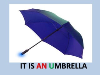 IT IS AN UMBRELLA
 