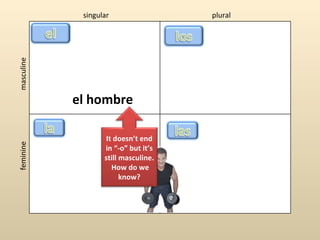 singular                 plural
masculine




            el hombre

                    It doesn’t end
feminine




                   in “-o” but it’s
                   still masculine.
                      How do we
                         know?
 