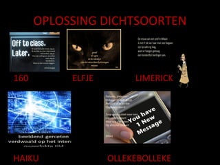 OPLOSSING DICHTSOORTEN 160  ELFJE  LIMERICK HAIKU  OLLEKEBOLLEKE 