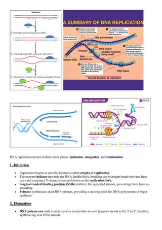 Definition and purpose of dna replication, BMLT | PDF