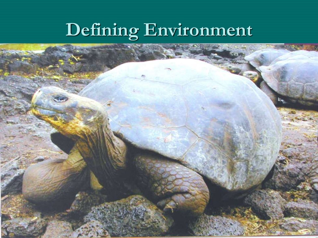 Definition And Scope Of Environmental Education