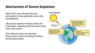 Definition, Causes And Effects Of Ozone Depletion.pptx