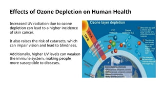 Definition, Causes And Effects Of Ozone Depletion.pptx