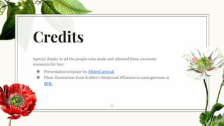 Credits
Special thanks to all the people who made and released these awesome
resources for free:
◉ Presentation template by SlidesCarnival
◉ Plant illustrations from Kö hler's Medizinal-Pflanzen in naturgetreuen at
BHL
25
 