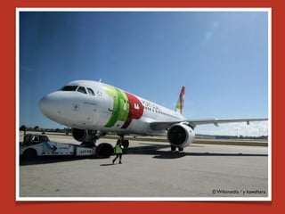 © Wikimedia / y kawahara
 