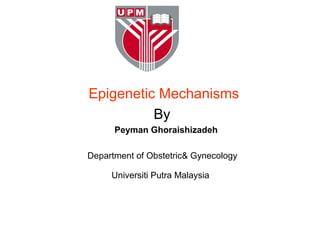 Epigenetic Mechanisms
          By
      Peyman Ghoraishizadeh

Department of Obstetric& Gynecology

     Universiti Putra Malaysia
 