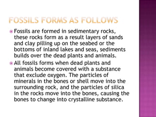  Fossils are formed in sedimentary rocks,
  these rocks form as a result layers of sands
  and clay pilling up on the seabed or the
  bottoms of inland lakes and seas, sediments
  builds over the dead plants and animals.
 All fossils forms when dead plants and
  animals become covered with a substance
  that exclude oxygen. The particles of
  minerals in the bones or shell move into the
  surrounding rock, and the particles of silica
  in the rocks move into the bones, causing the
  bones to change into crystalline substance.
 