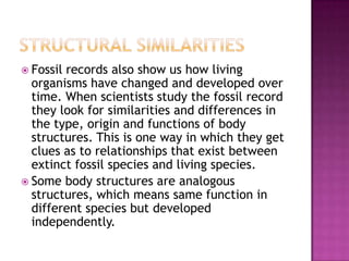  Fossilrecords also show us how living
  organisms have changed and developed over
  time. When scientists study the fossil record
  they look for similarities and differences in
  the type, origin and functions of body
  structures. This is one way in which they get
  clues as to relationships that exist between
  extinct fossil species and living species.
 Some body structures are analogous
  structures, which means same function in
  different species but developed
  independently.
 