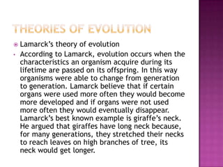    Lamarck’s theory of evolution
•   According to Lamarck, evolution occurs when the
    characteristics an organism acquire during its
    lifetime are passed on its offspring. In this way
    organisms were able to change from generation
    to generation. Lamarck believe that if certain
    organs were used more often they would become
    more developed and if organs were not used
    more often they would eventually disappear.
    Lamarck’s best known example is giraffe’s neck.
    He argued that giraffes have long neck because,
    for many generations, they stretched their necks
    to reach leaves on high branches of tree, its
    neck would get longer.
 