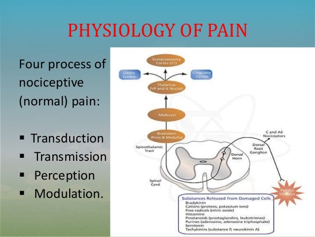 theory of acute pain management essay Chronic pain is a complex and confusing problem unlike acute pain, which is well correlated with injury, chronic pain is often unrelated to tissue damageit might be driven by a wide variety of factors like sleep, mood, thoughts, or emotions. theory of acute pain management essay Chronic pain is a complex and confusing problem unlike acute pain, which is well correlated with injury, chronic pain is often unrelated to tissue damageit might be driven by a wide variety of factors like sleep, mood, thoughts, or emotions.