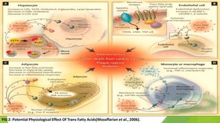 FIG 2: Potential Physiological Effect Of Trans Fatty Acids(Mozaffarian et al., 2006).
 