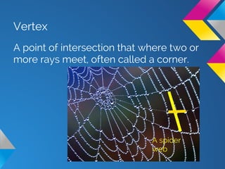 Vertex
A point of intersection that where two or
more rays meet, often called a corner.
A spider
web
 