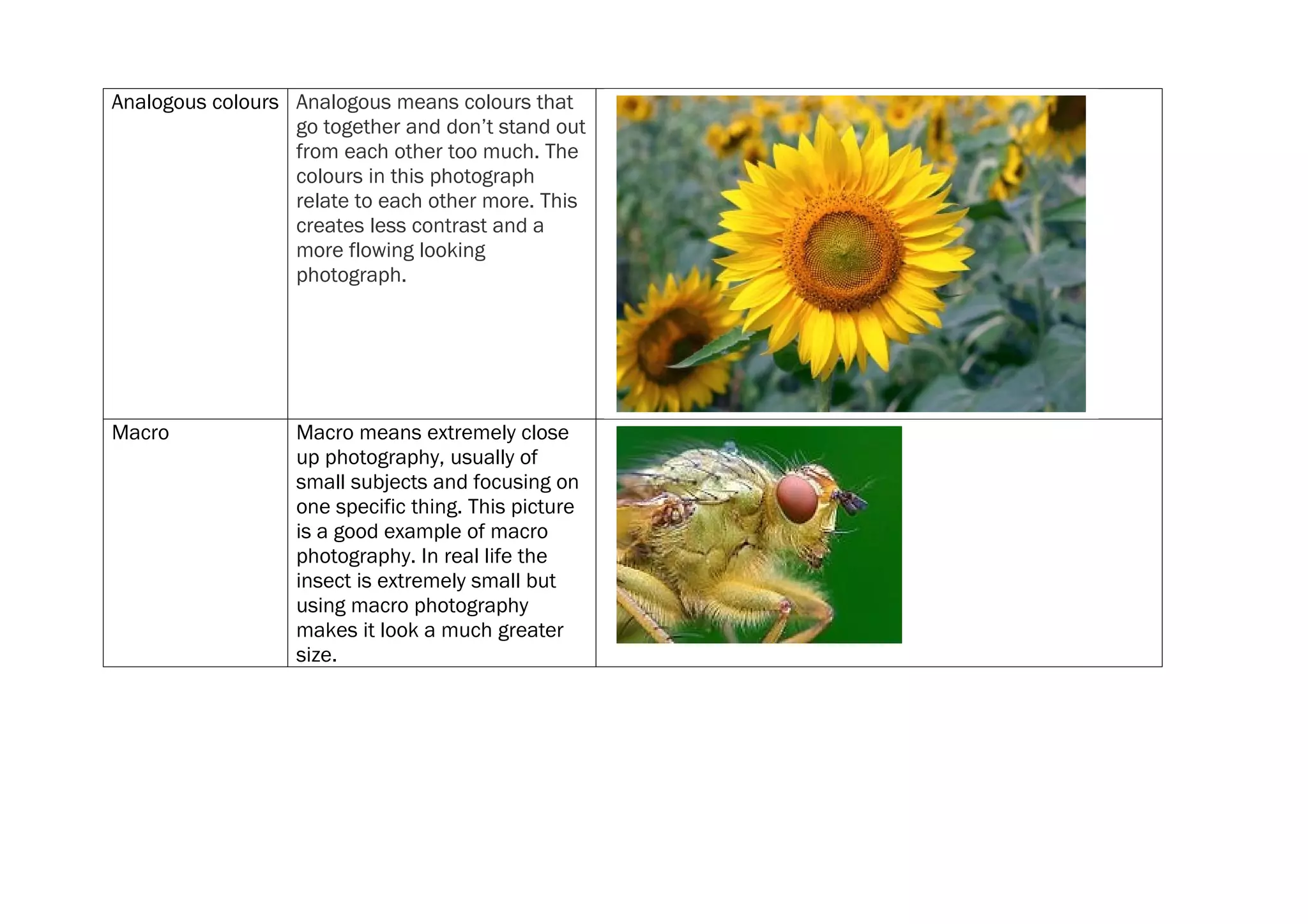 Analogous colours Analogous means colours that
                  go together and don’t stand out
                  from each other too much. The
                  colours in this photograph
                  relate to each other more. This
                  creates less contrast and a
                  more flowing looking
                  photograph.




Macro              Macro means extremely close
                   up photography, usually of
                   small subjects and focusing on
                   one specific thing. This picture
                   is a good example of macro
                   photography. In real life the
                   insect is extremely small but
                   using macro photography
                   makes it look a much greater
                   size.
 