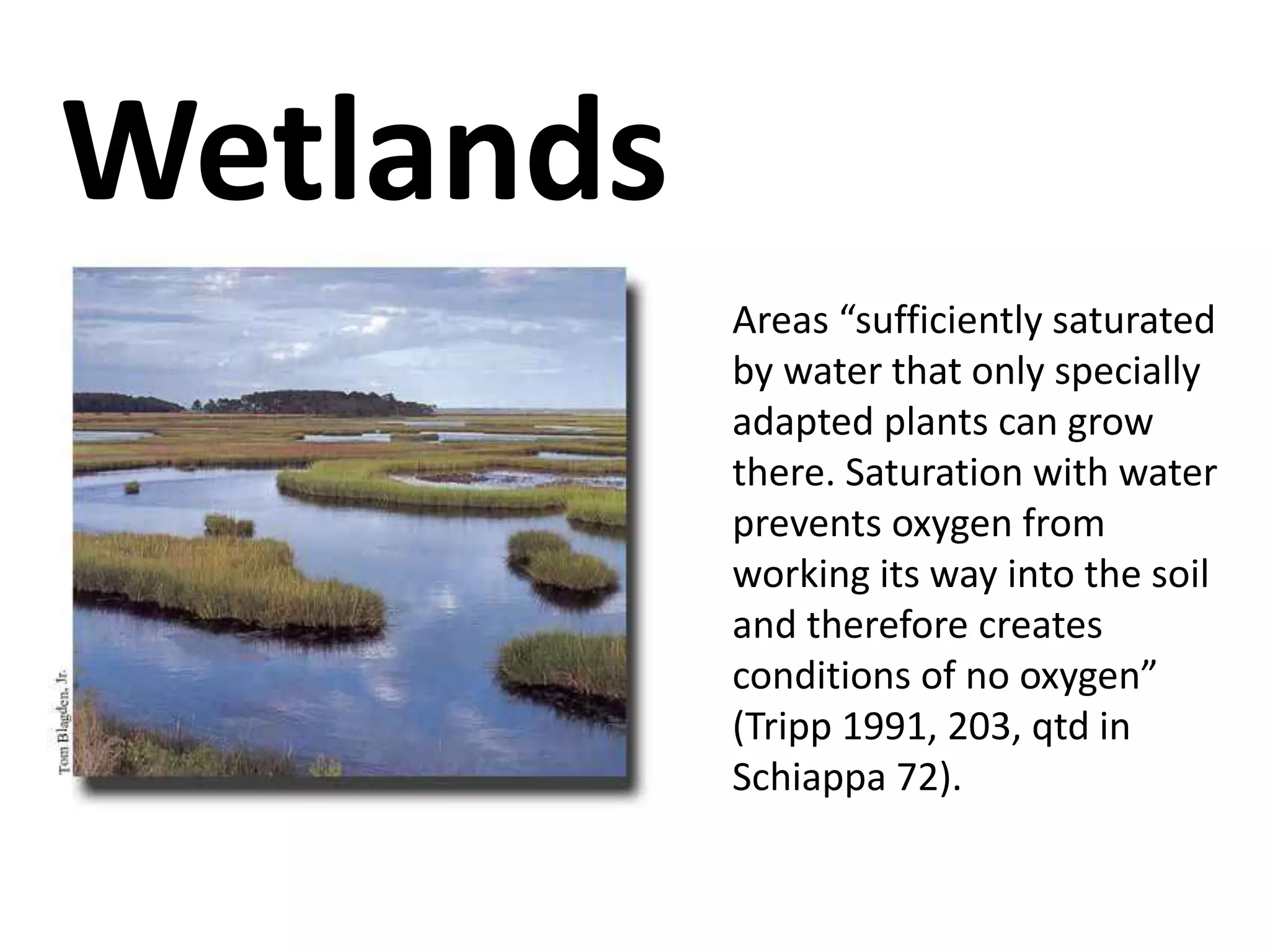 Wetlands 
Areas “sufficiently saturated 
by water that only specially 
adapted plants can grow 
there. Saturation with water 
prevents oxygen from 
working its way into the soil 
and therefore creates 
conditions of no oxygen” 
(Tripp 1991, 203, qtd in 
Schiappa 72). 
 