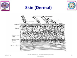 Skin (Dermal)
2014/01/25 12
Faculty of Pharmacy, Omer Al-Mukhtar University,
Tobruk, Libya.
 