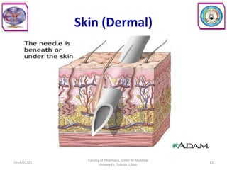 Skin (Dermal)
2014/01/25 13
Faculty of Pharmacy, Omer Al-Mukhtar
University, Tobruk, Libya.
 