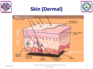 Skin (Dermal)
2014/01/25 14
Faculty of Pharmacy, Omer Al-Mukhtar University,
Tobruk, Libya.
 
