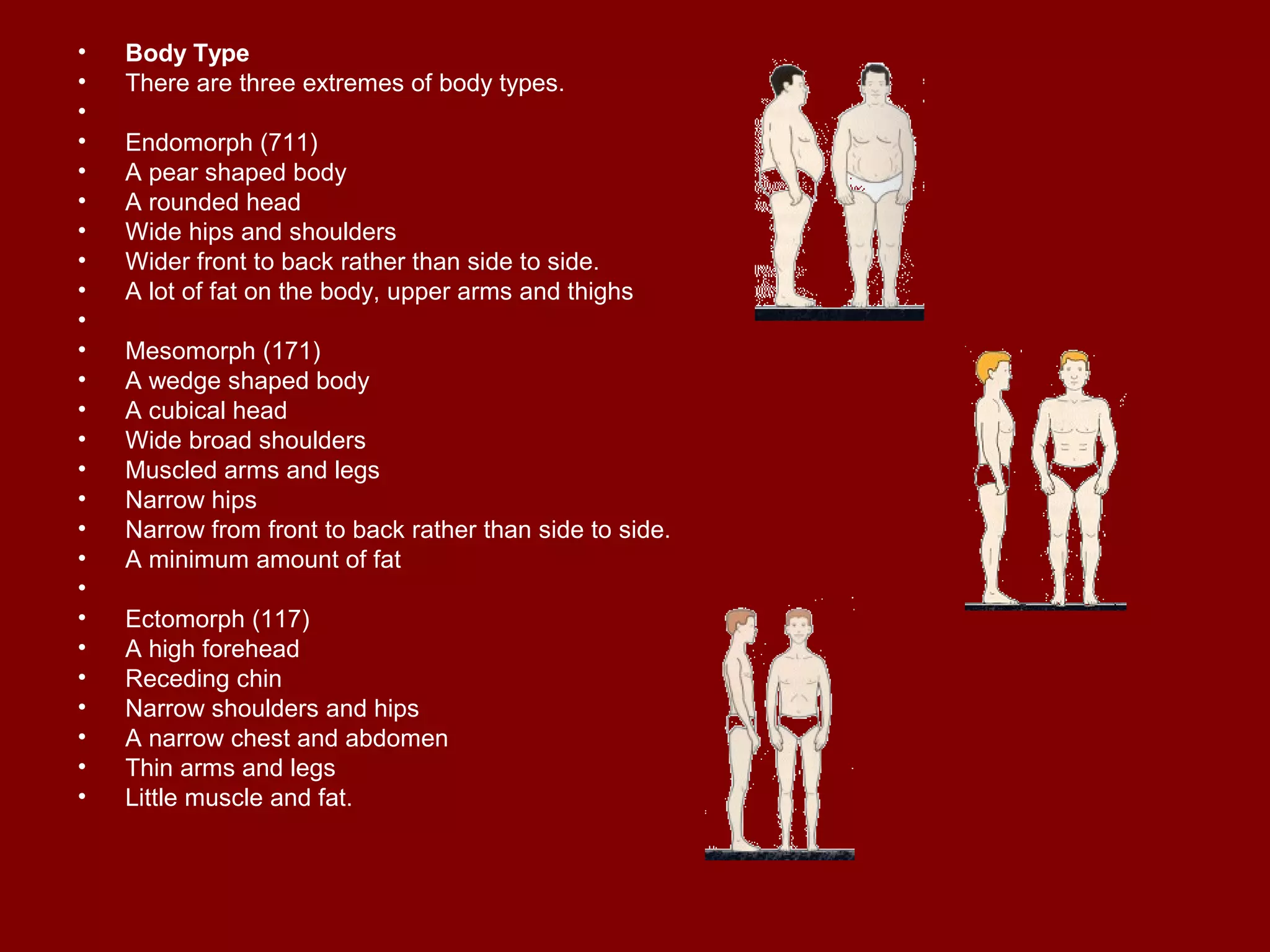 • Body Type
• There are three extremes of body types.
•
• Endomorph (711)
• A pear shaped body
• A rounded head
• Wide hips and shoulders
• Wider front to back rather than side to side.
• A lot of fat on the body, upper arms and thighs
•
• Mesomorph (171)
• A wedge shaped body
• A cubical head
• Wide broad shoulders
• Muscled arms and legs
• Narrow hips
• Narrow from front to back rather than side to side.
• A minimum amount of fat
•
• Ectomorph (117)
• A high forehead
• Receding chin
• Narrow shoulders and hips
• A narrow chest and abdomen
• Thin arms and legs
• Little muscle and fat.
 