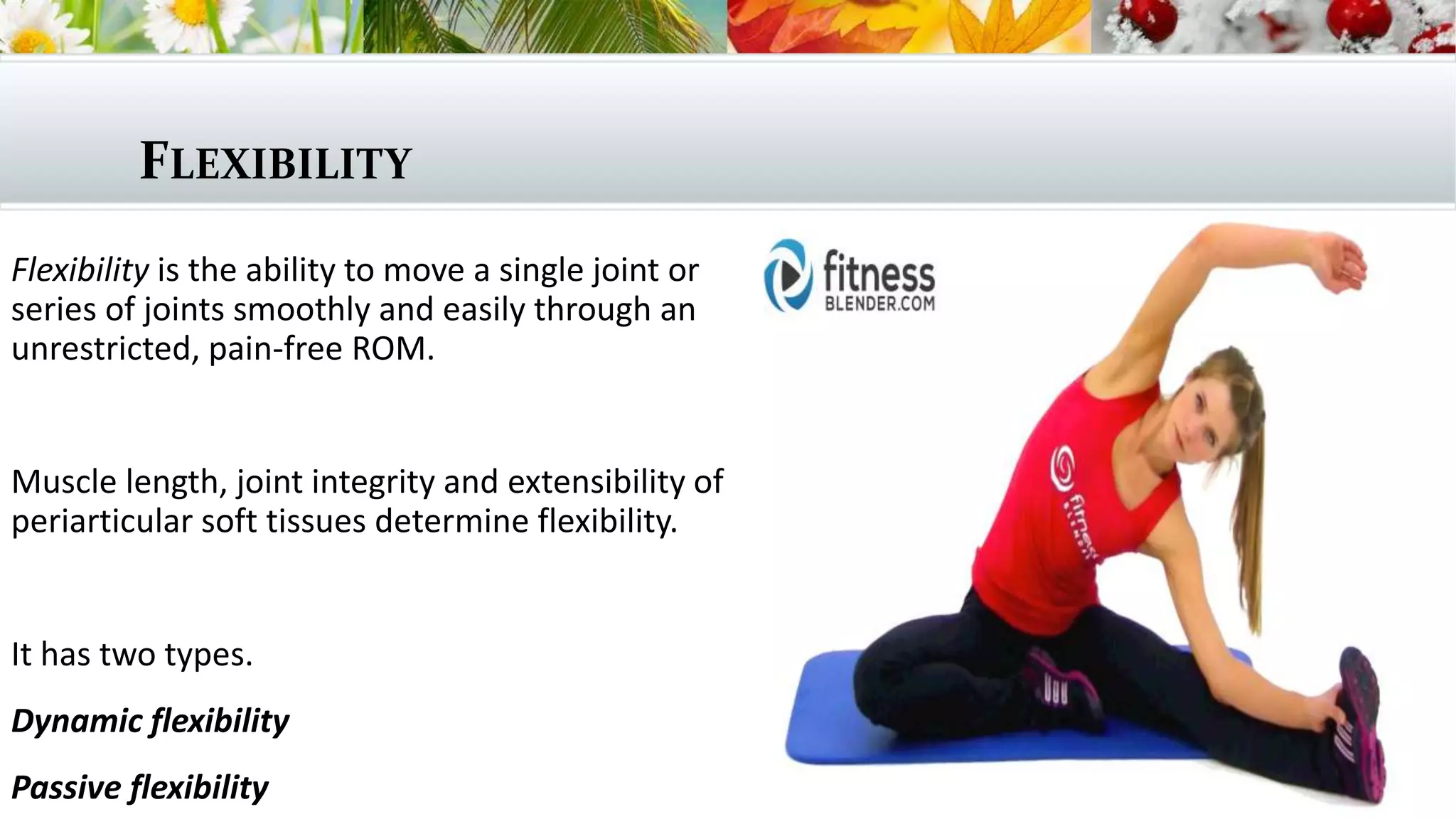 Definitions of terms related to mobility and stretching | PPTX