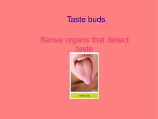 Taste buds
Sense organs that detect
taste
 