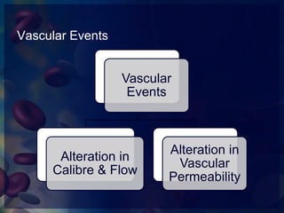 Definition, types & vascular events of inflammation | PPTX