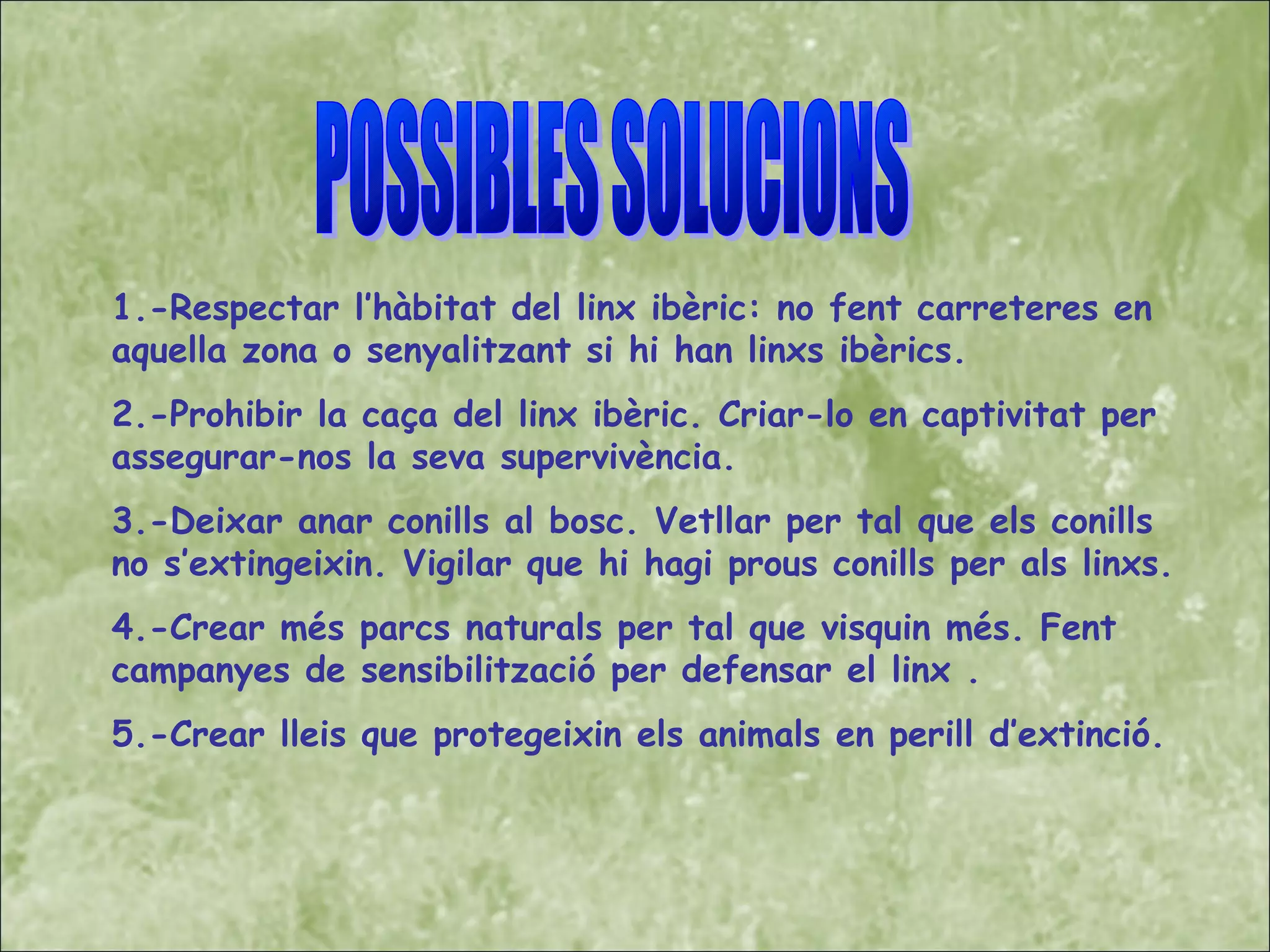 1.-Respectar l’hàbitat del linx ibèric: no fent carreteres en
aquella zona o senyalitzant si hi han linxs ibèrics.
2.-Prohibir la caça del linx ibèric. Criar-lo en captivitat per
assegurar-nos la seva supervivència.
3.-Deixar anar conills al bosc. Vetllar per tal que els conills
no s’extingeixin. Vigilar que hi hagi prous conills per als linxs.
4.-Crear més parcs naturals per tal que visquin més. Fent
campanyes de sensibilització per defensar el linx .
5.-Crear lleis que protegeixin els animals en perill d’extinció.
 