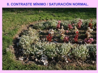 8. CONTRASTE MÍNIMO / SATURACIÓN NORMAL.

 