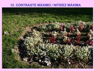 12. CONTRASTE MÁXIMO / NITIDEZ MÁXIMA

 