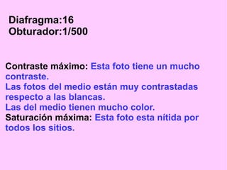 Diafragma:16
Obturador:1/500
Contraste máximo: Esta foto tiene un mucho
contraste.
Las fotos del medio están muy contrastadas
respecto a las blancas.
Las del medio tienen mucho color.
Saturación máxima: Esta foto esta nítida por
todos los sitios.

 