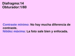 Diafragma:14
Obturador:1/80

Contraste mínimo: No hay mucha diferencia de
contraste.
Nitidez máxima: La foto sale bien y enfocada.

 