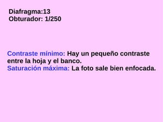 Diafragma:13
Obturador: 1/250

Contraste mínimo: Hay un pequeño contraste
entre la hoja y el banco.
Saturación máxima: La foto sale bien enfocada.

 