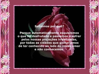 Sofremos por quê?  Porque automaticamente esquecemos  o que foi desfrutado e passamos a sofrer  pelas nossas projeções irrealizadas,  por todas as cidades que gostaríamos  de ter conhecido ao lado do nosso amor  e não conhecemos.   