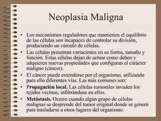 Neoplasia Maligna Los mecanismos reguladores que mantienen el equilibrio de las células son incapaces de controlar su división, produciendo un cúmulo de células.  Las células presentan variaciones en su forma, tamaño y función. Estas células dejan de actuar como deben y adquieren nuevas propiedades que configuran el carácter maligno (cáncer). El cáncer puede extenderse por el organismo, utilizando para ello diferentes vías. Las más comunes son:  P ropagación local.  Las células tumorales invaden los tejidos vecinos, infiltrándose en ellos.  Metástasis.  Ocurre cuando algún grupo de células malignas se desprende del tumor original donde se generó para trasladarse a otros lugares del organismo. 