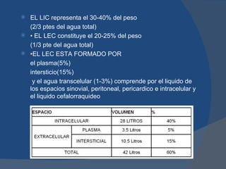  EL LIC representa el 30-40% del peso
  (2/3 ptes del agua total)
 • EL LEC constituye el 20-25% del peso

  (1/3 pte del agua total)
 •EL LEC ESTA FORMADO POR

  el plasma(5%)
  intersticio(15%)
   y el agua transcelular (1-3%) comprende por el liquido de
  los espacios sinovial, peritoneal, pericardico e intracelular y
  el liquido cefalorraquideo
 