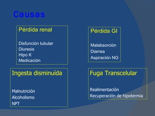 Causas
   Pérdida renal        Pérdida GI

   Disfunción tubular   Malabsorción
   Diuresis
                        Diarrea
   Hipo K
                        Aspiración NG
   Medicación


Ingesta disminuída      Fuga Transcelular

Malnutrición            Realimentación
Alcoholismo             Recuperación de hipotermia
NPT
 