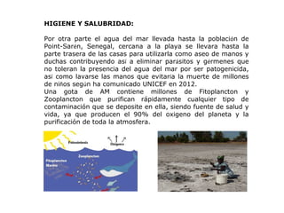 Gestion de Estrategias Humanitarias en la Region Caribe Colombiana