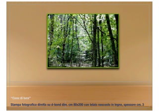 “Cono di luce”
Stampa fotograﬁca diretta su d-bond dim. cm 80x200 con telaio nascosto in legno, spessore cm. 3
 