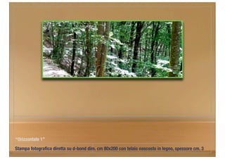 “Orizzontale 1”
Stampa fotograﬁca diretta su d-bond dim. cm 80x200 con telaio nascosto in legno, spessore cm. 3
 