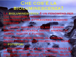 Che cos’è la
bioluminescenza?
La bioluminescenza è un fenomeno per
cui organismi viventi
emettono luce attraverso reazioni
chimiche.
E’ legata soprattutto agli esseri
marini, ma riguarda anche animali di
terra, insetti e funghi.
Negli organismi marini gli organi
produttori di luce prendono il nome
di fotofori.
Il fenomeno della bioluminescenza è
diffuso anche in molti batteri, alcuni
dei quali originano l'effetto "milky
 