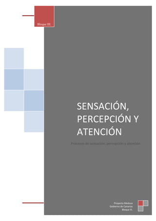 SENSACIÓN, PERCEPCIÓN Y ATENCIÓN

Bloque III.




                  SENSACIÓN,
                  PERCEPCIÓN Y
                  ATENCIÓN
               Procesos de sensación, percepción y atención




                                          Proyecto Medusa
                                       Gobierno dePágina 1
                                                   Canarias
                                                 Bloque III.
 