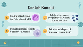 Comprehensive Overview of Immune System Deficiencies: Types, Diagnosis ...